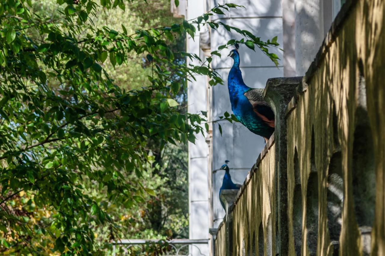 Casas Da Tapada Apartman Lisboa Kültér fotó